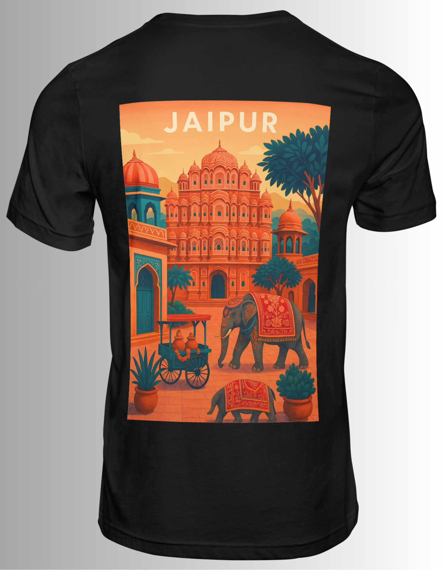 The Pink City Vibe